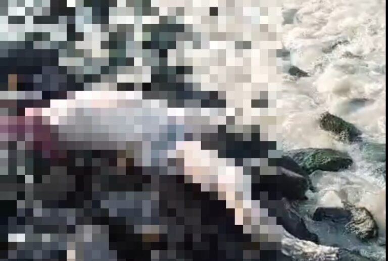 Geger! Jasad Tak Beridentitas Ditemukan Terapung di Pinggir Pantai Pisangan Cibuaya