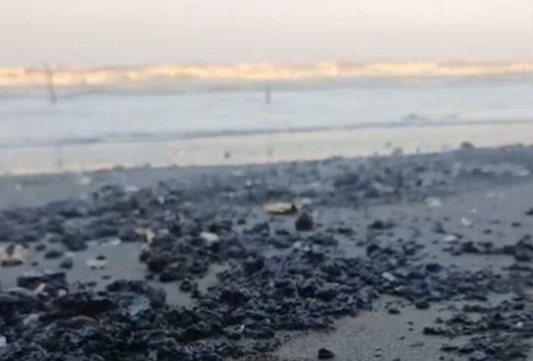Tumpahan Minyak Misterius Cemari Pantai Pisangan Cemarajaya, Warga Resah Tercium Bau Menyengat