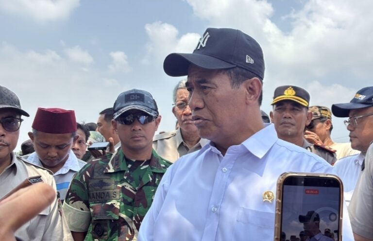 Tak Mau Cuma Laporan, Mentan Amran Sidak Pompanisasi di Karawang