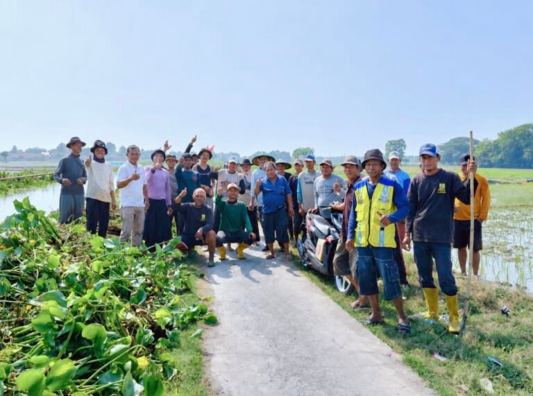 Angkat Eceng Gondok, H. Karsim Bersama Petani Bersihkan Saluran Irigasi Sekunder Balongsari   