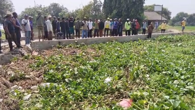 Ratusan Petani Cibuaya Unjuk Rasa, BBWS dan PJT II Diminta Tegas Normalisasi Saluran Air